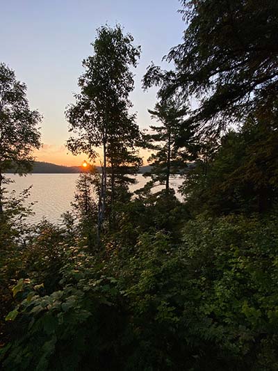 trees-lake-sunrise